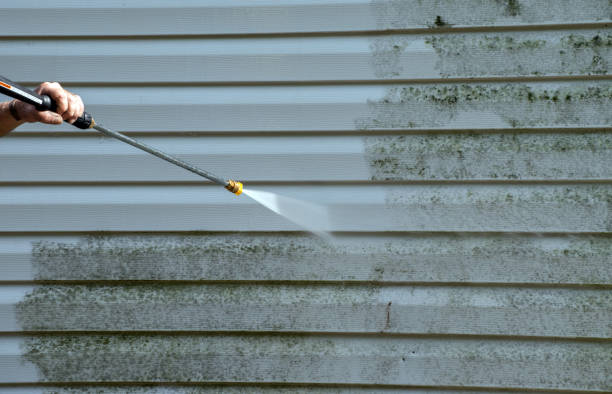 Best Affordable Pressure Washing  in Treasure Island, FL