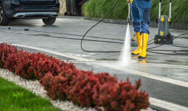 Best Roof Power Washing Services  in Treasure Island, FL