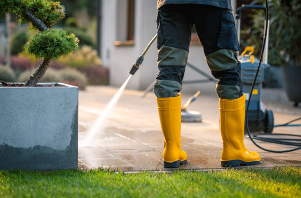 Best House Pressure Washing  in Treasure Island, FL